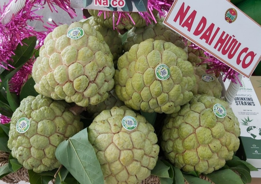 HTX trồng na khổng lồ trên núi cao: Một năm lãi 120 tỷ, 26 hộ dân chia nhau