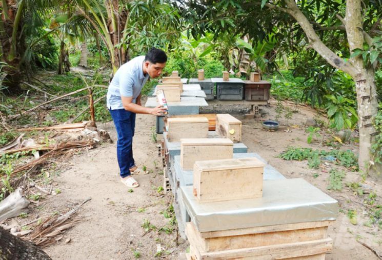 Nuôi ong tạo hương vị mật theo mùa hoa