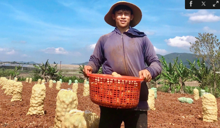 Du học dang dở, 9x về quê làm nông nghiệp thu tiền tỷ