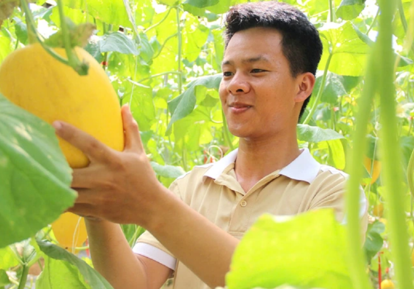 Chàng trai gen Z làm giàu từ nông nghiệp xanh