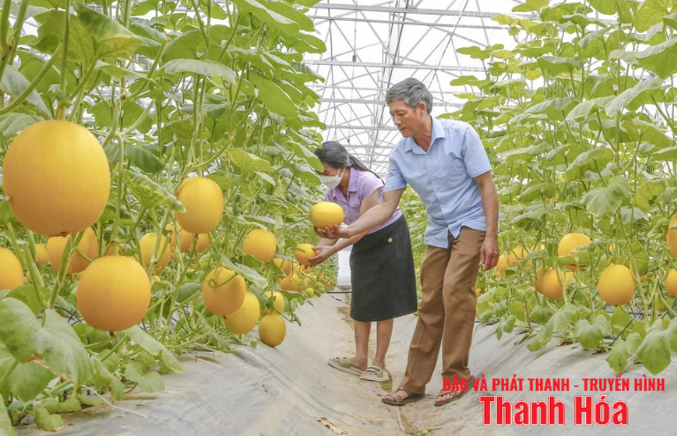 Khó khăn khi phát triển nông nghiệp công nghệ cao