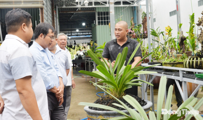 Trồng hoa lan: Mô hình sản xuất nông nghiệp thân thiện với môi trường