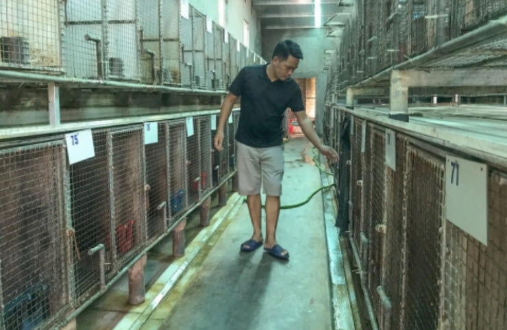 Nuôi con có hương vị thơm ngon đặc trưng, nông dân Nghệ An 'hốt bạc