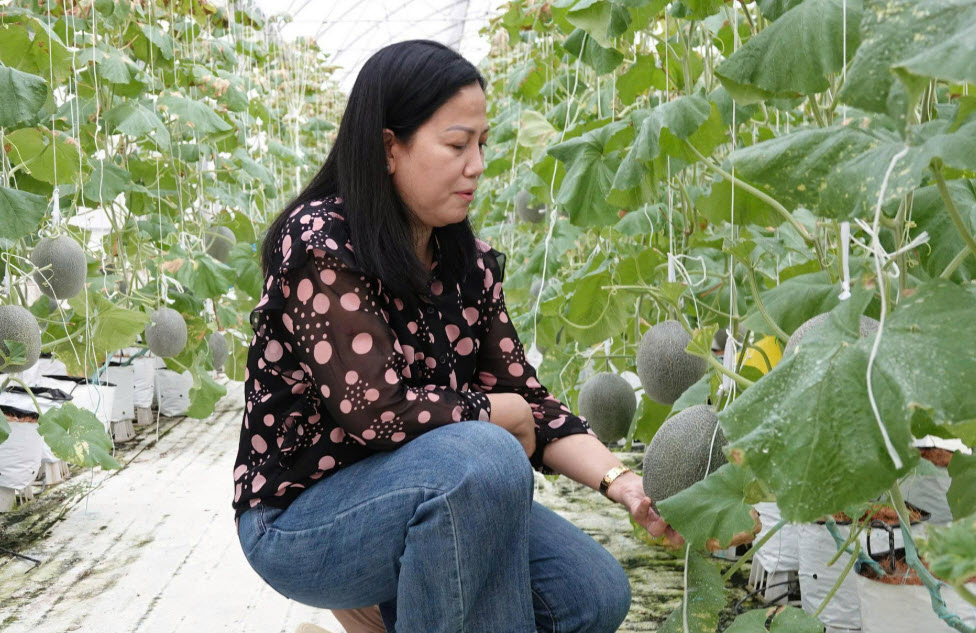 Mê trái dưa ở siêu thị, người phụ nữ Cần Thơ gây dựng trang trại xanh 13.000m²
