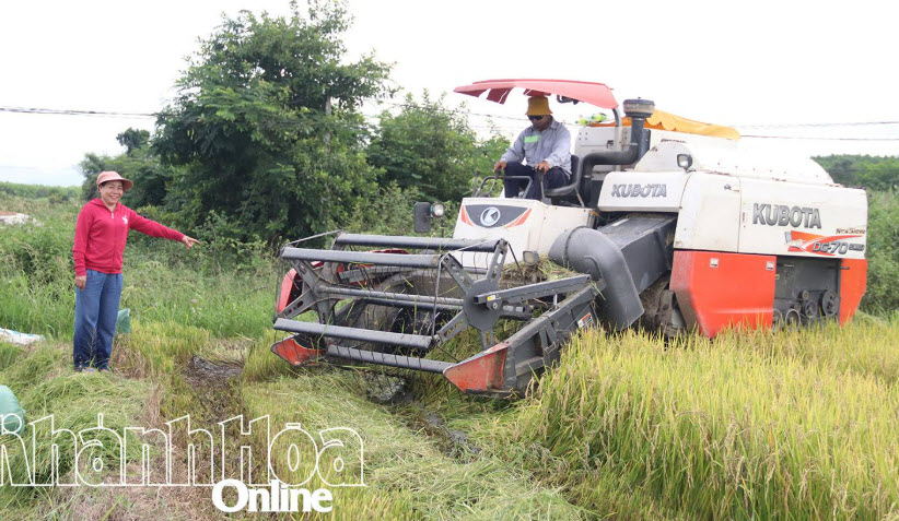 Làm giàu nhờ cơ giới hóa nông nghiệp