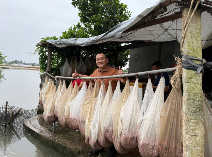 Nông dân Hải Phòng lội nước đầu đông thu tiền tỷ từ con rươi-"con trời cho" nuôi cứ như không, thế mới lạ