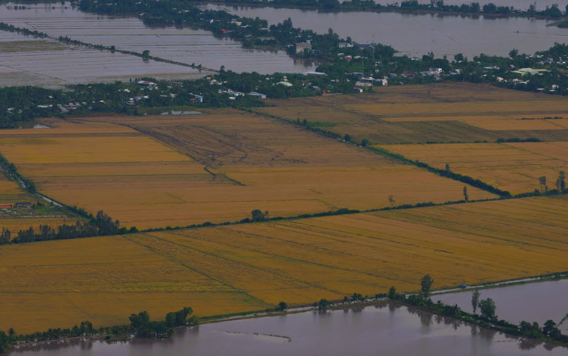 ĐBSCL lũ cuối mùa cao bất thường, có thể ảnh hưởng vụ đông xuân sắp đến
