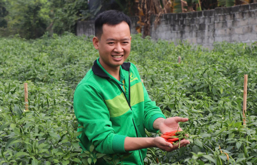 Nông dân Tiến Nông “thắng lớn” nhờ vụ ớt giá cao